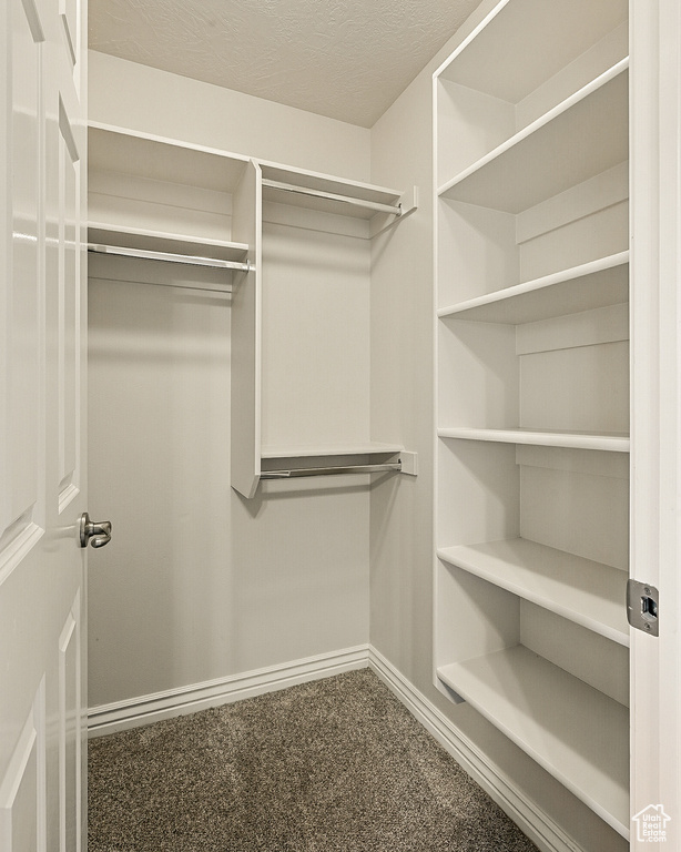 Walk in closet with carpet flooring