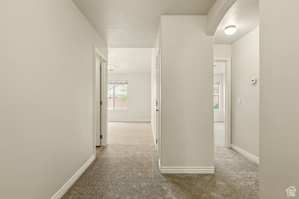 Hall featuring carpet floors, baseboards, and a textured ceiling