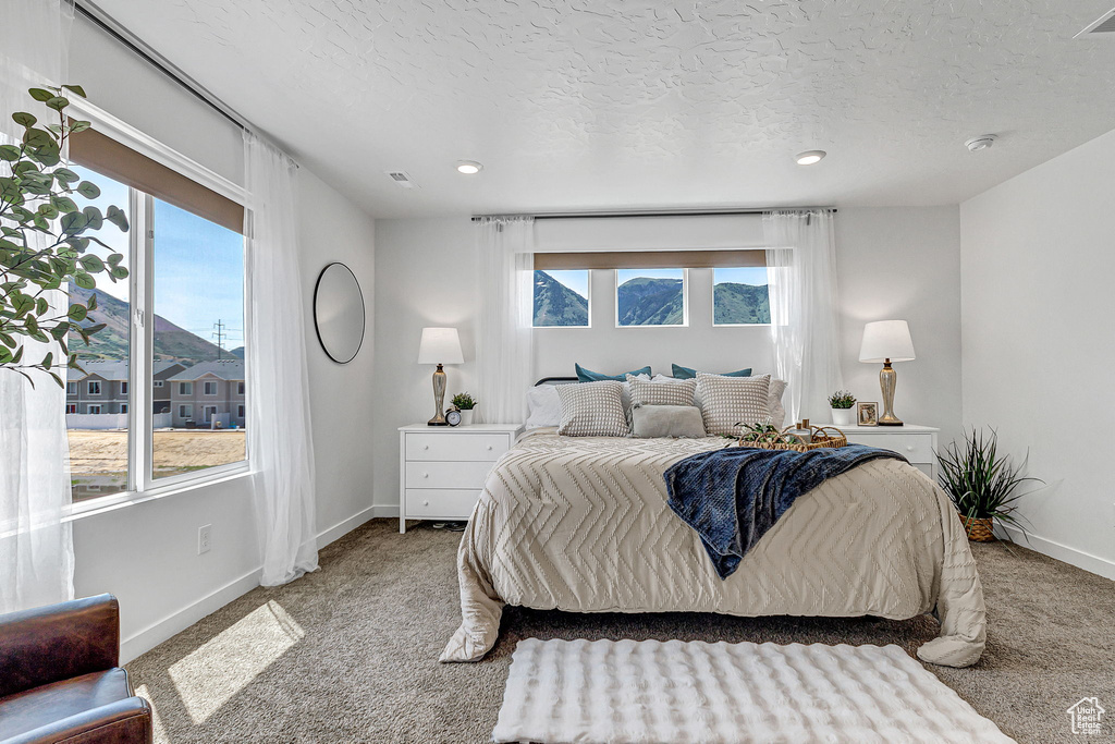 Bedroom featuring carpet flooring, baseboards, a textured ceiling, and recessed lighting