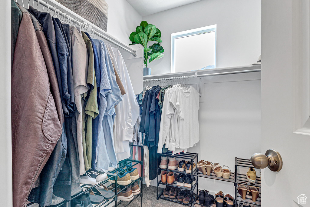 Spacious closet with carpet