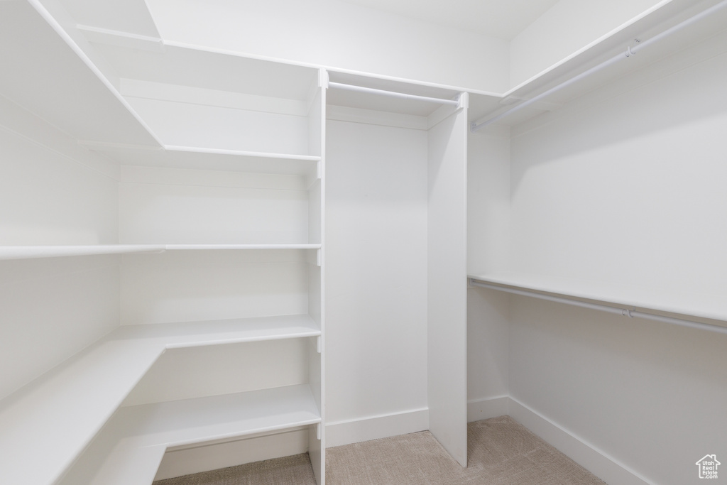 Spacious closet featuring carpet