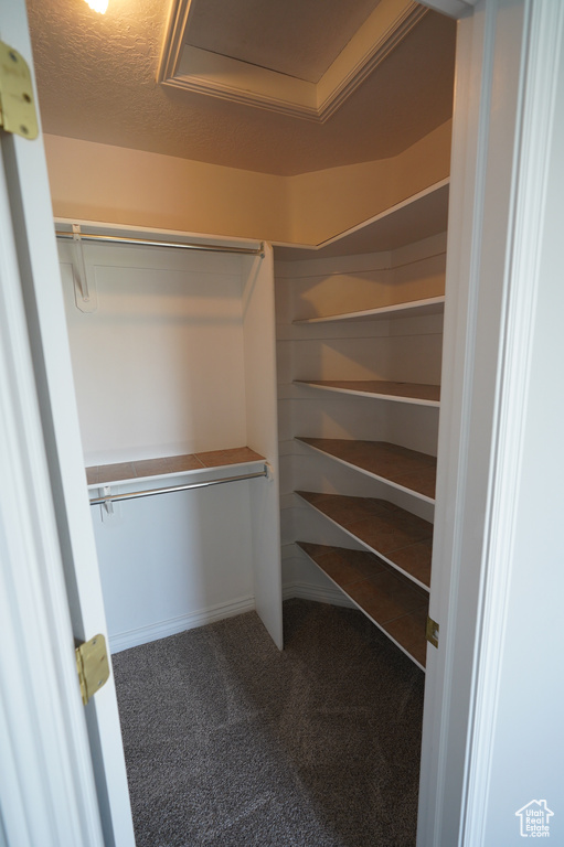 Walk in closet with carpet