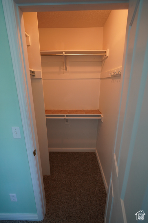 Walk in closet with carpet flooring