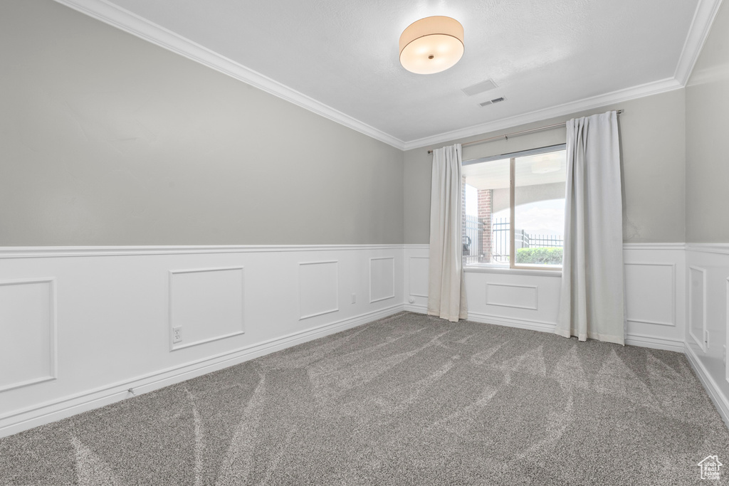 Carpeted spare room featuring ornamental molding, wainscoting, and a decorative wall