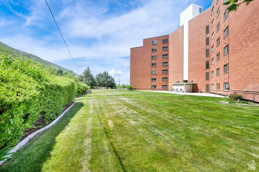 View of grassy yard