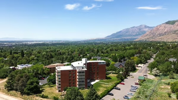 Drone / aerial view of a forest and a mountain backdrop