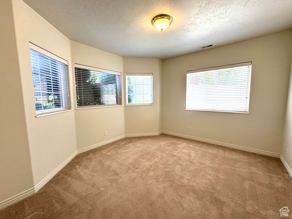 Carpeted spare room with a textured ceiling and baseboards