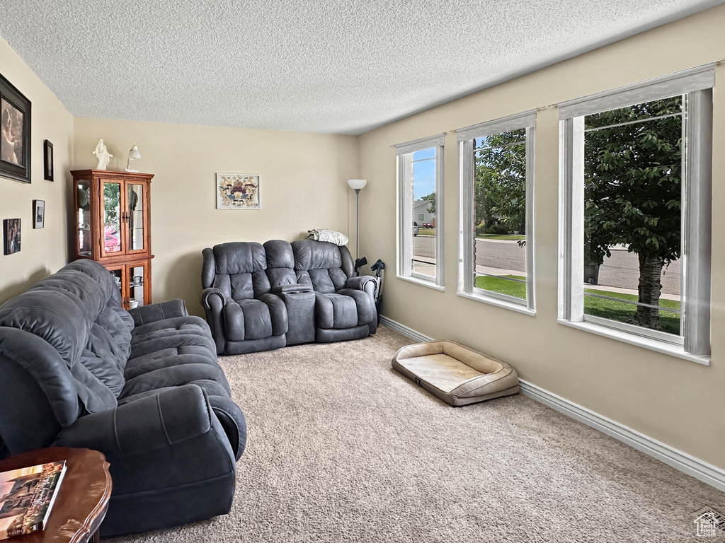 Carpeted living area with a textured ceiling and baseboards
