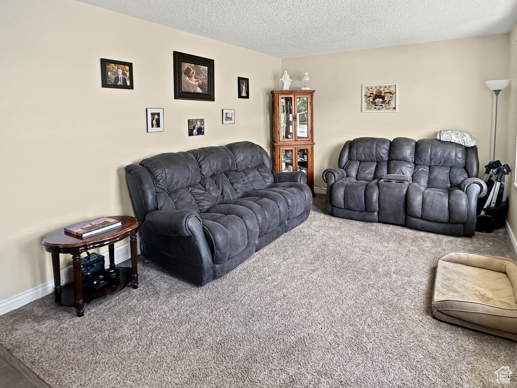 Living area featuring carpet floors, a textured ceiling, and baseboards