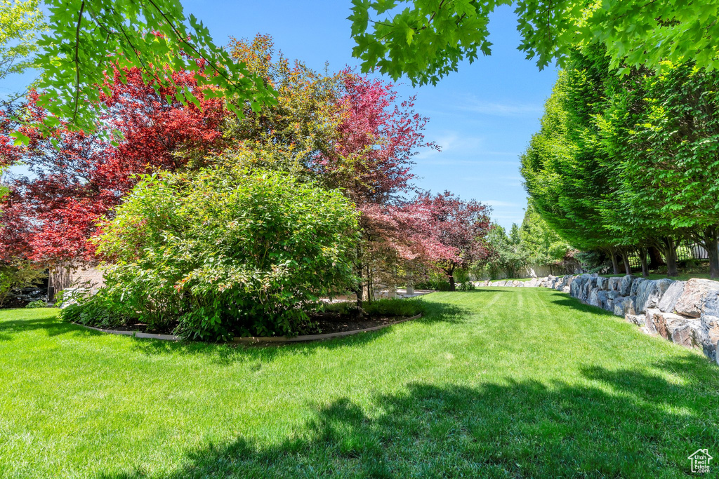 View of grassy yard