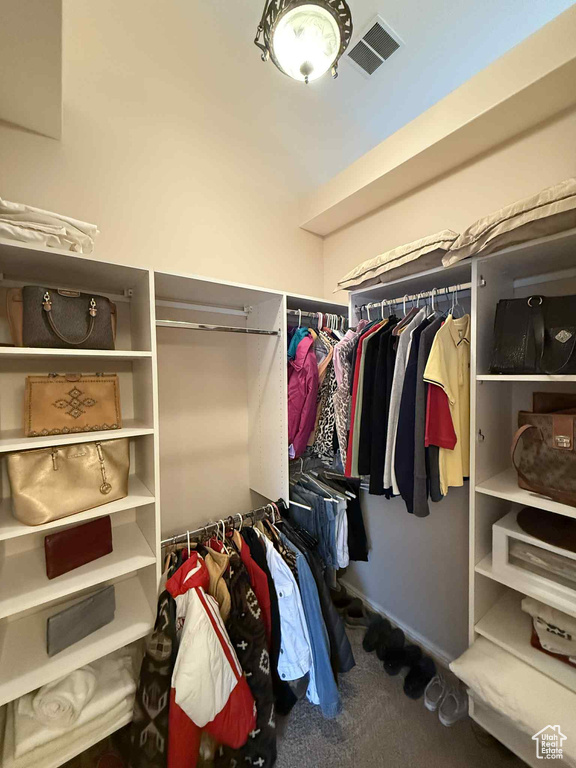 Spacious closet featuring carpet flooring
