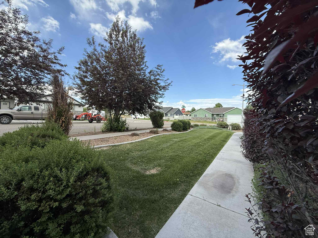 View of grassy yard featuring a residential view