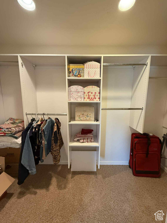 Spacious closet with carpet flooring