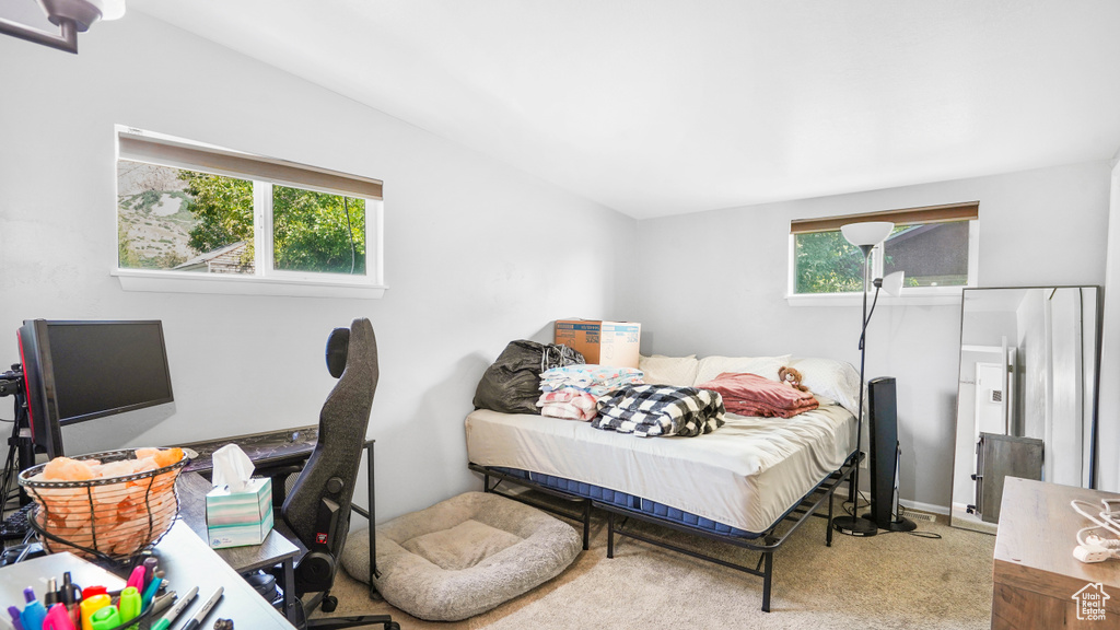 Carpeted bedroom with multiple windows