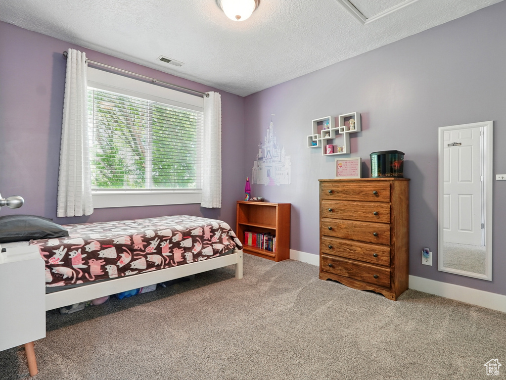 Bedroom featuring carpet, a textured ceiling, and baseboards