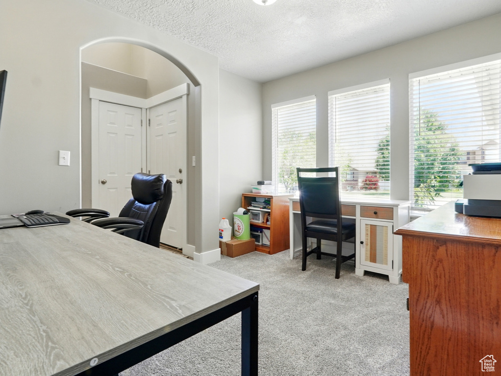 Home office with light colored carpet, a textured ceiling, and arched walkways