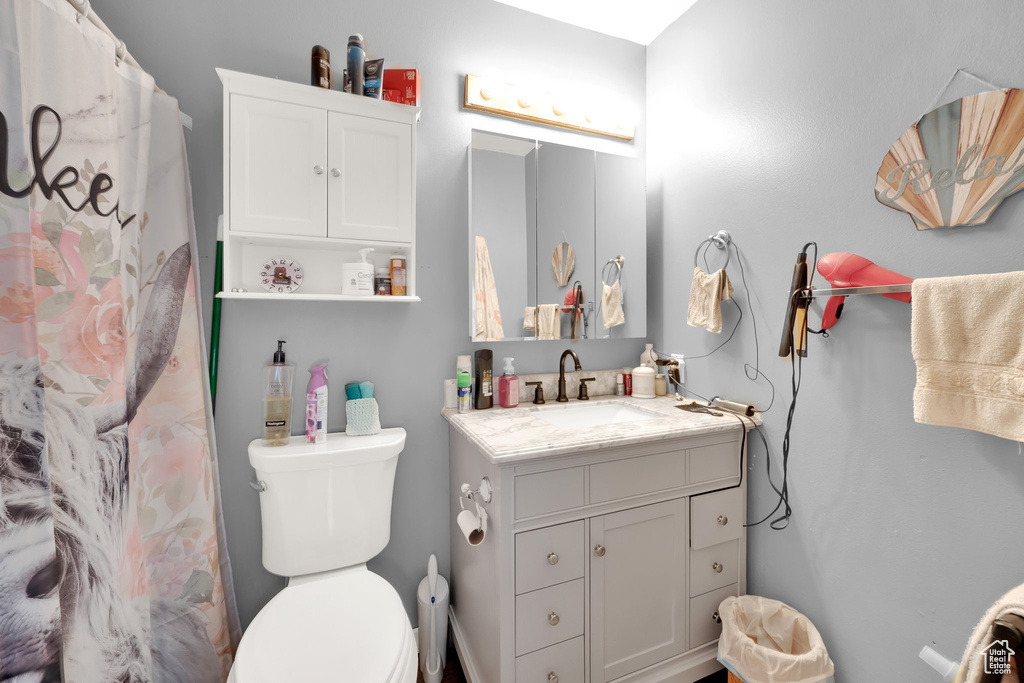 Full bathroom featuring vanity, toilet, and a shower with shower curtain