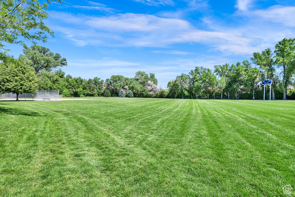 View of yard featuring view of scattered trees