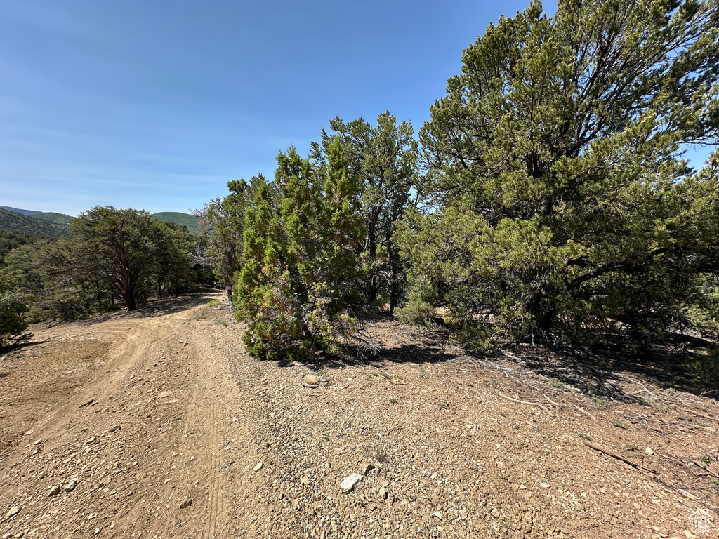 View of dirt / gravel road