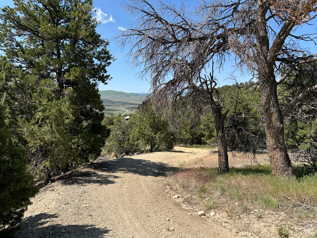 View of street with a mountain view