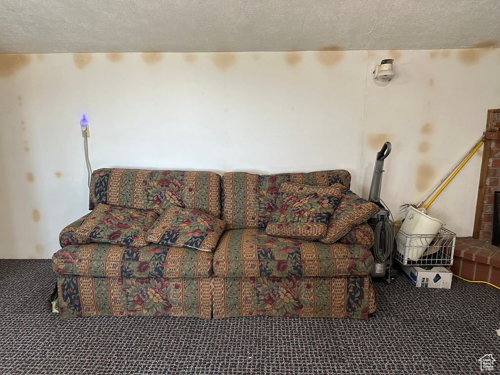 Carpeted living area with a textured ceiling