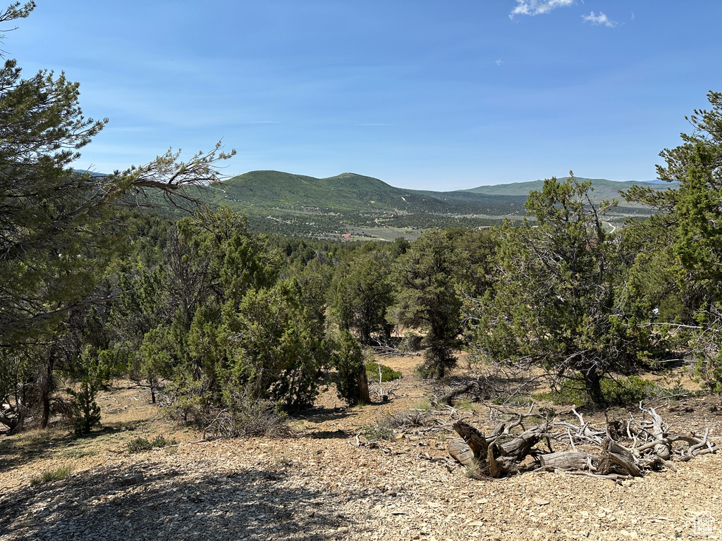 View of mountain background