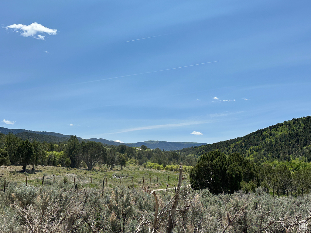 View of mountain background featuring a forest