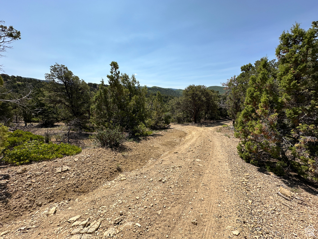 View of dirt / gravel road