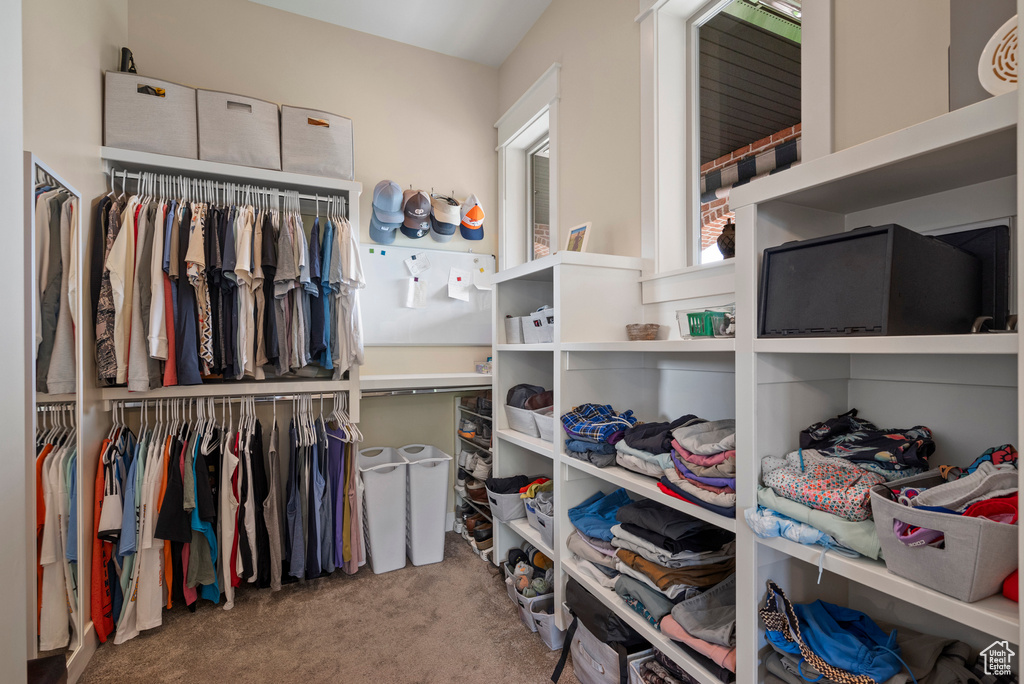 Spacious closet featuring carpet floors