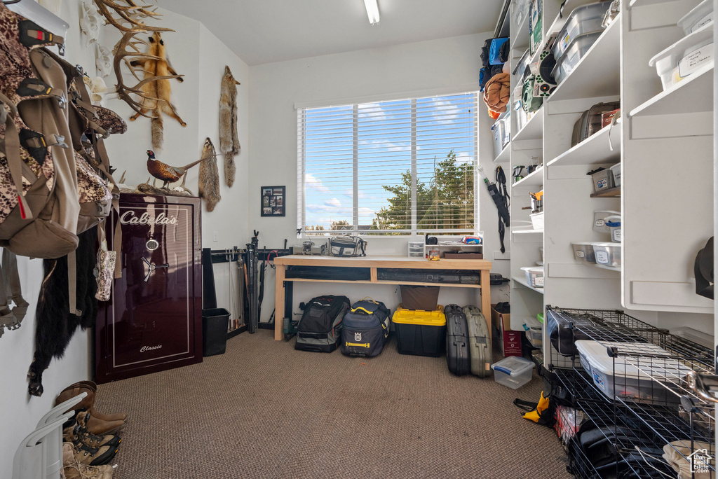 Home office with carpet floors