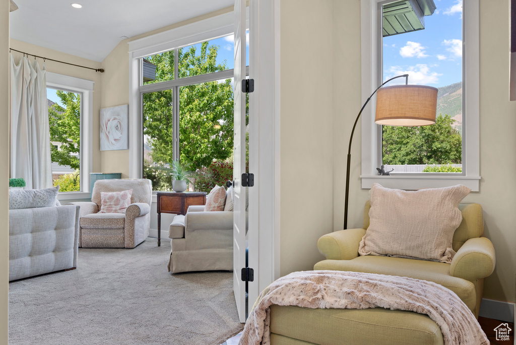 Living area with carpet