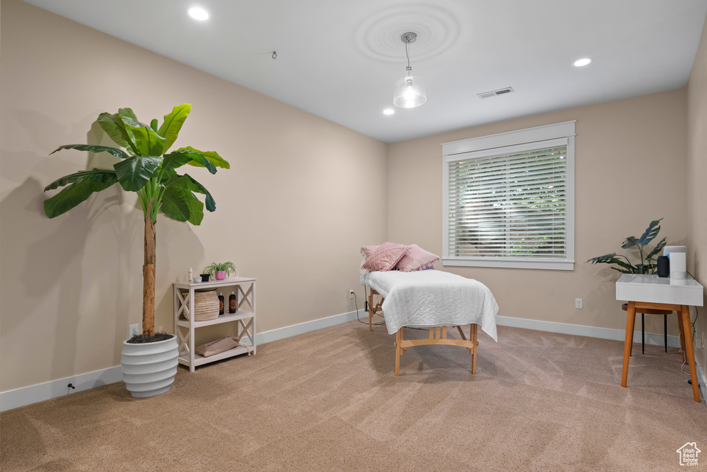 Living area featuring carpet floors, baseboards, and recessed lighting