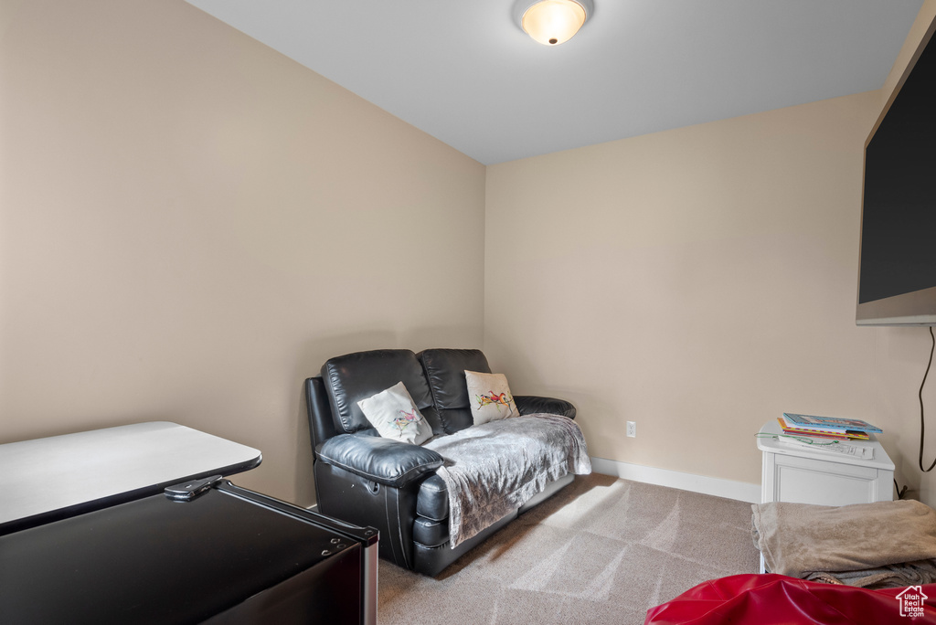 Living area featuring carpet and baseboards
