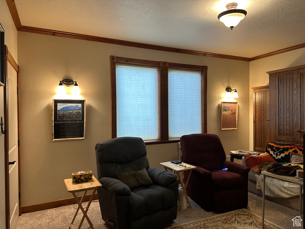Living area featuring light carpet, crown molding, baseboards, and a textured ceiling
