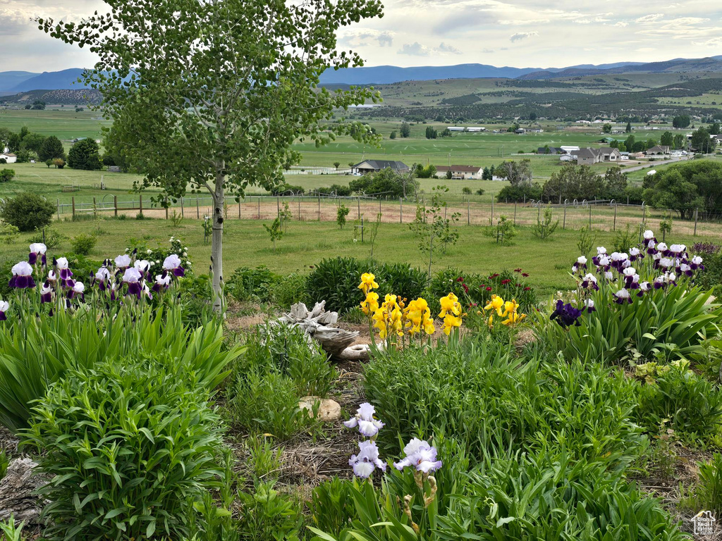View of yard featuring a mountain view and a view of rural / pastoral area