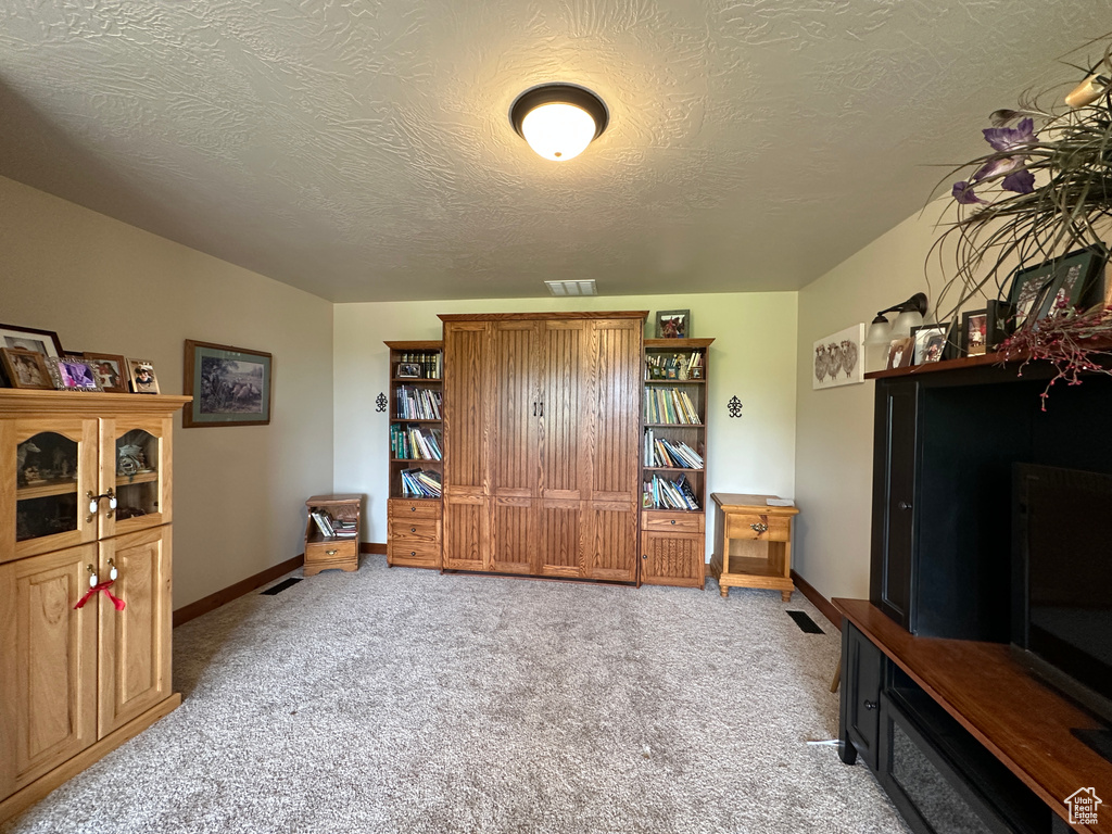 Sitting room featuring carpet floors, a textured ceiling, and baseboards