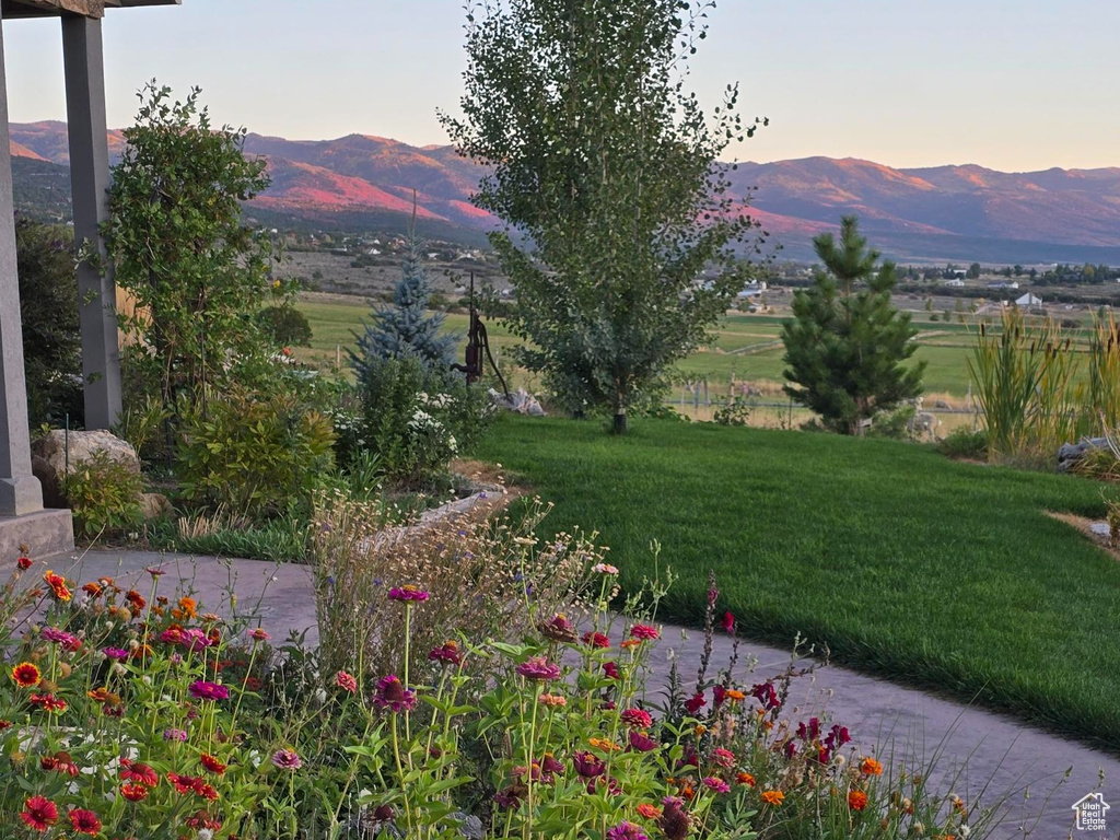 Mountain view