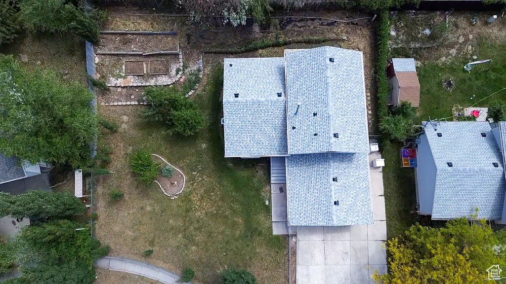 Bird\'s eye view