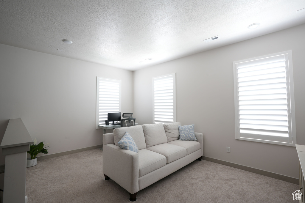 Living area featuring carpet flooring, an office area, a textured ceiling, and baseboards