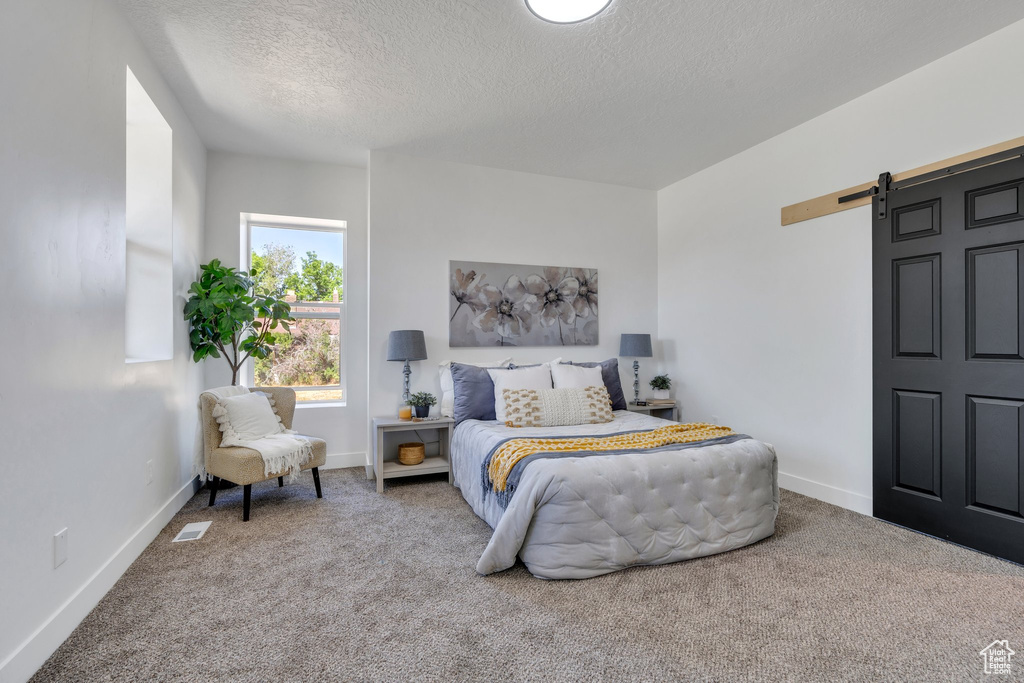 Bedroom with a barn door, carpet flooring, a textured ceiling, and baseboards