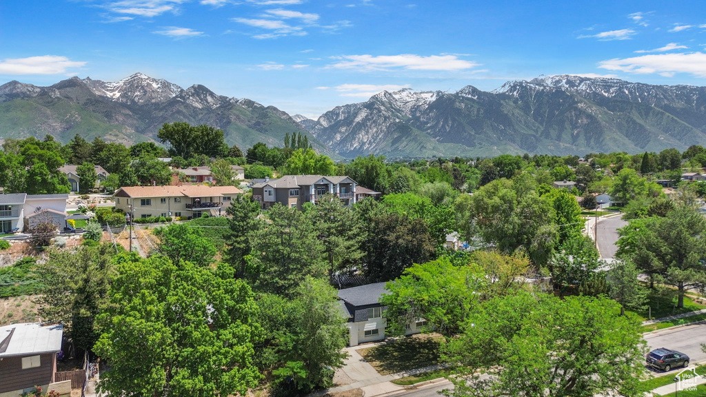Mountain view