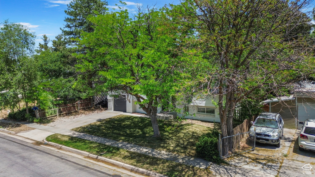 Obstructed view of property with driveway