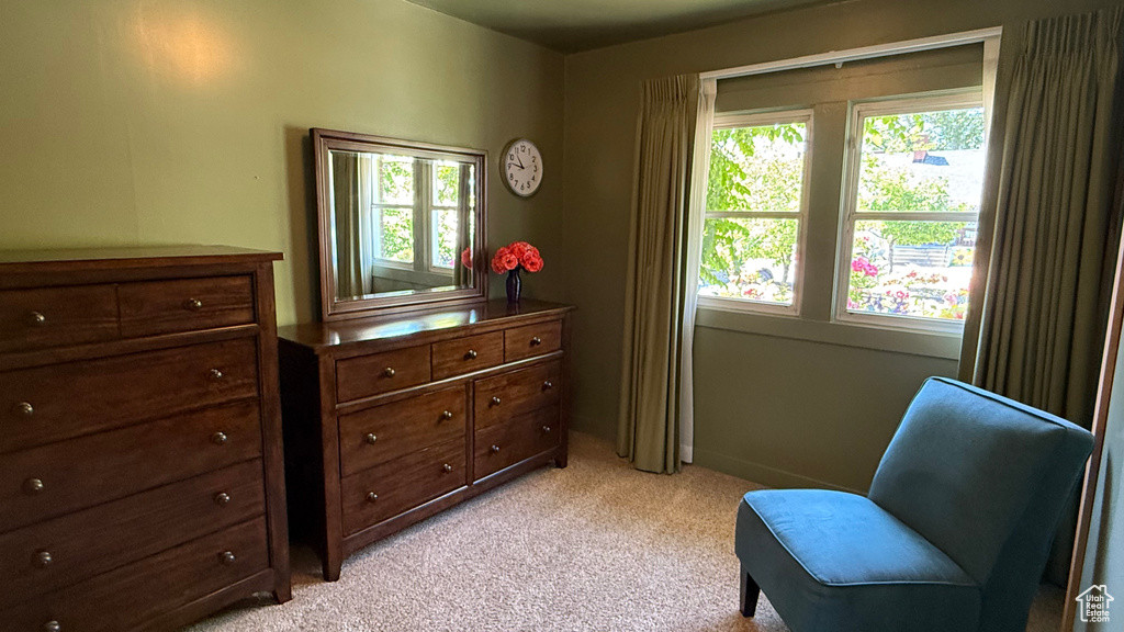 Sitting room featuring light colored carpet and plenty of natural light