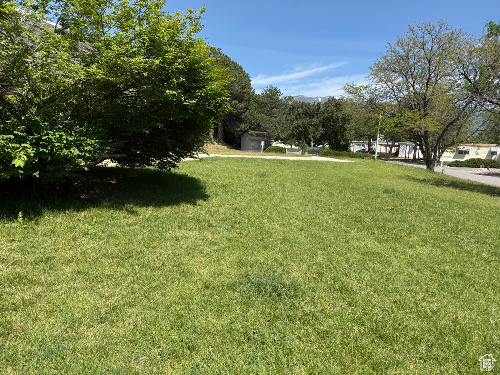 View of green lawn