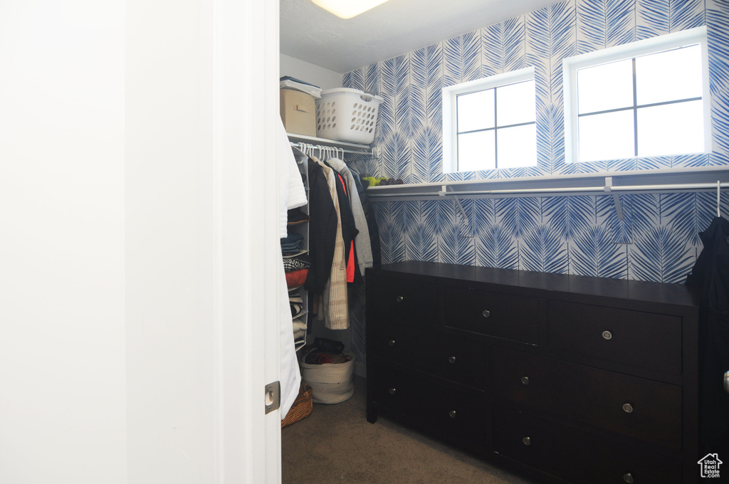 Walk in closet with carpet floors