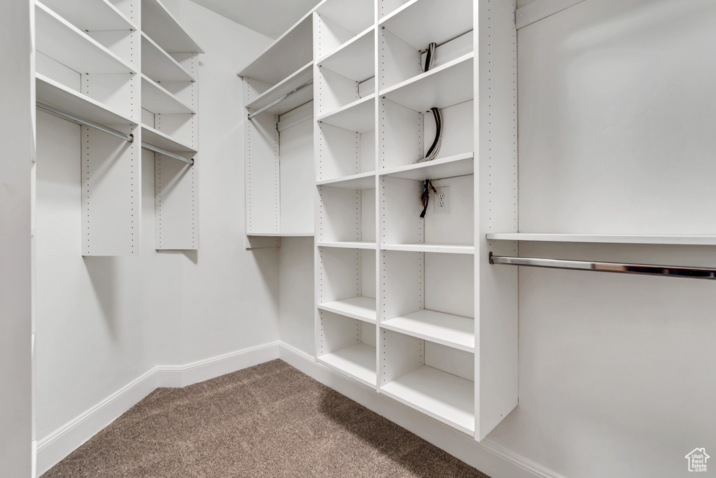 Spacious closet with carpet flooring