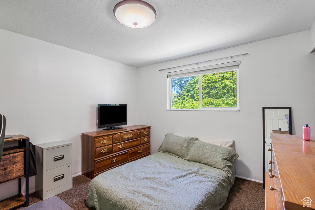 Bedroom with carpet floors and baseboards