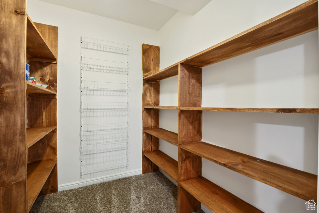Spacious closet featuring carpet