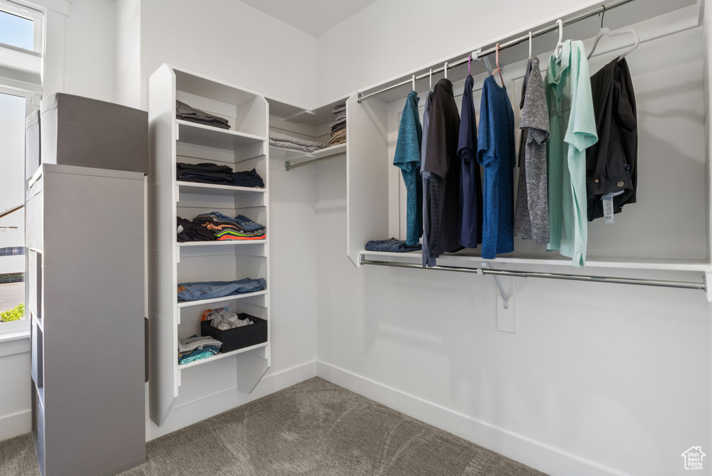 Walk in closet featuring carpet flooring