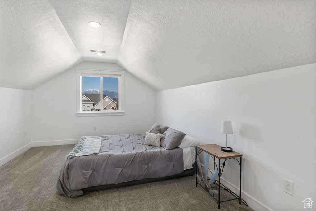 Carpeted bedroom featuring a textured ceiling, lofted ceiling, and baseboards